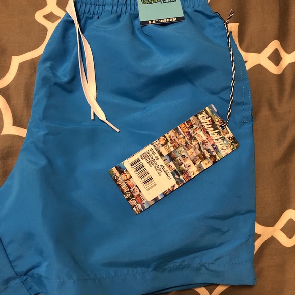 CHUBBIES 5.5 INSEAM SHORTS - Picture 3 of 3